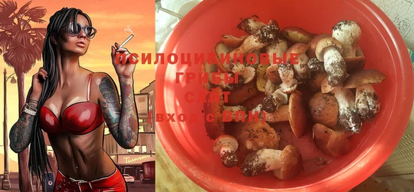 гидра Сатка