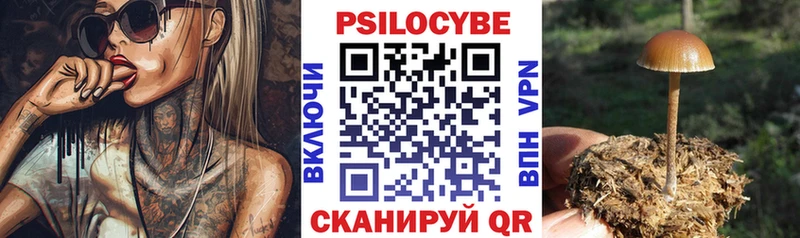 Галлюциногенные грибы GOLDEN TEACHER Аткарск
